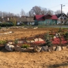 Bajeczny Ogród 2008