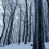 Zimowe krajobrazy - fot. Anita Gurbisz 2013